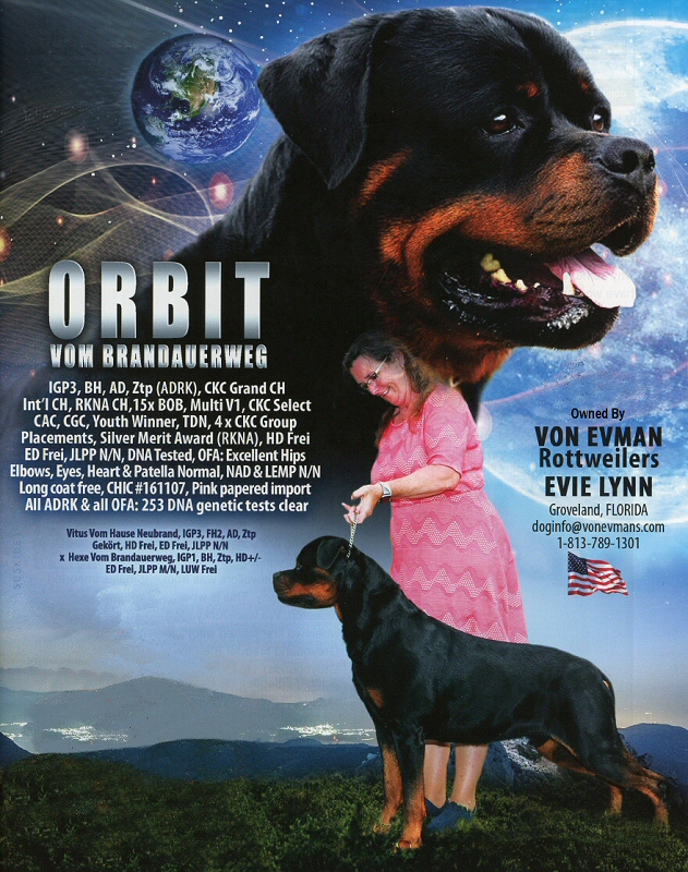 Orbit